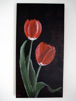 Tulpen1