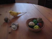 Spelen met de balletjes